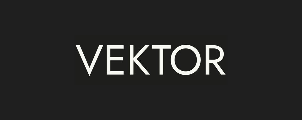 Why we're building Vektor